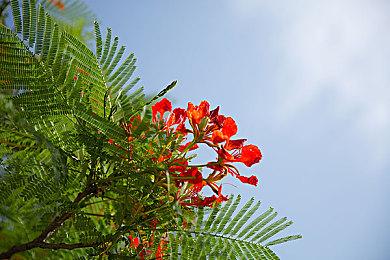 《审判之逝》PS4对比PS5版 画面类似性能有差异