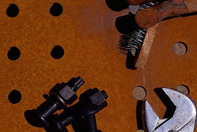 动作冒险生存游戏《Romestead》Steam页面 发售日待定